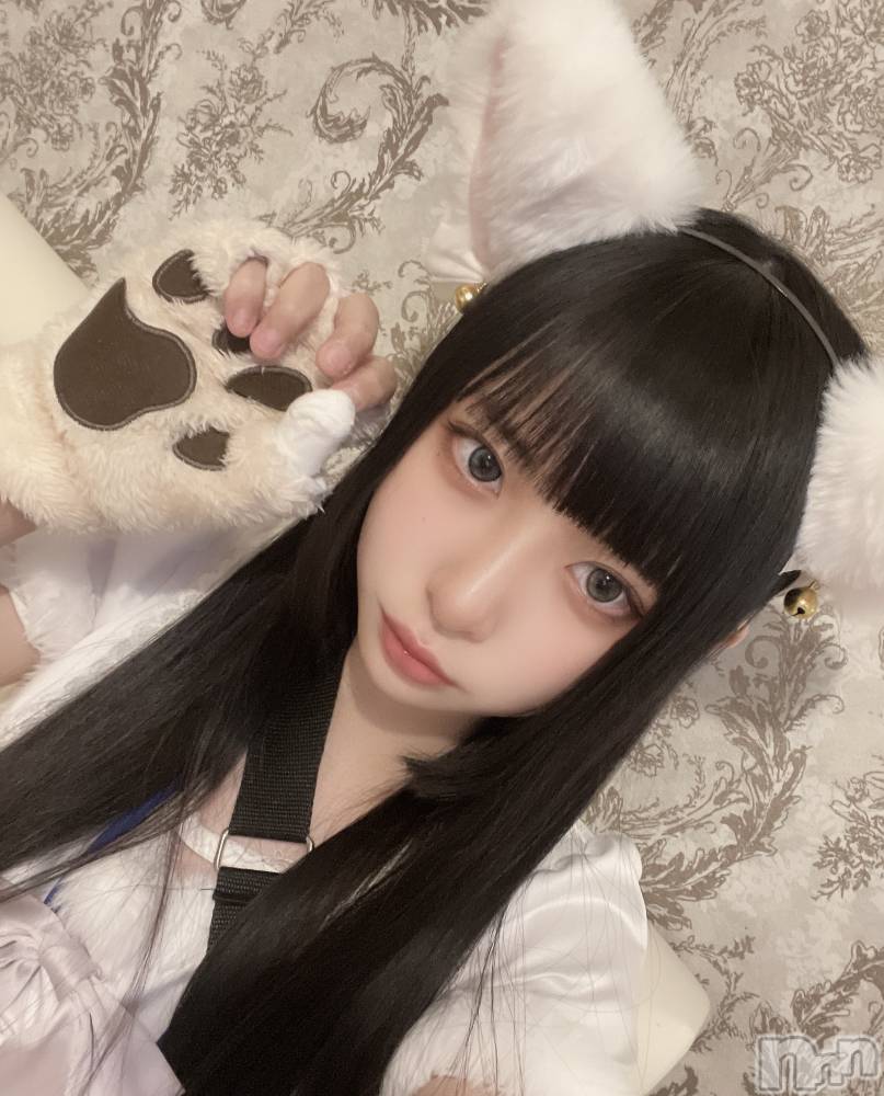 ʥå륺С󥻥ץȥե ˤޤ(󥻥ץȥե˥ޥ륭奦ǥ) 218ֹ̥֥ˤ