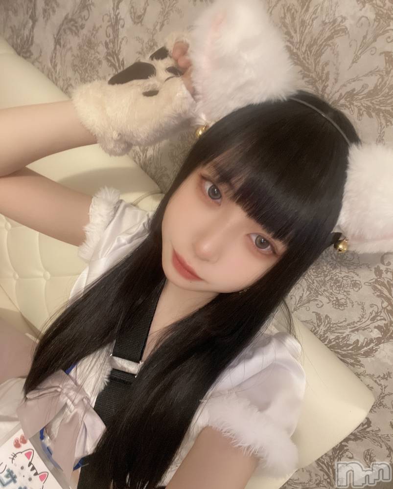 ʥå륺С󥻥ץȥե ˤޤ(󥻥ץȥե˥ޥ륭奦ǥ) 221̥֥֤ǤȤǤ