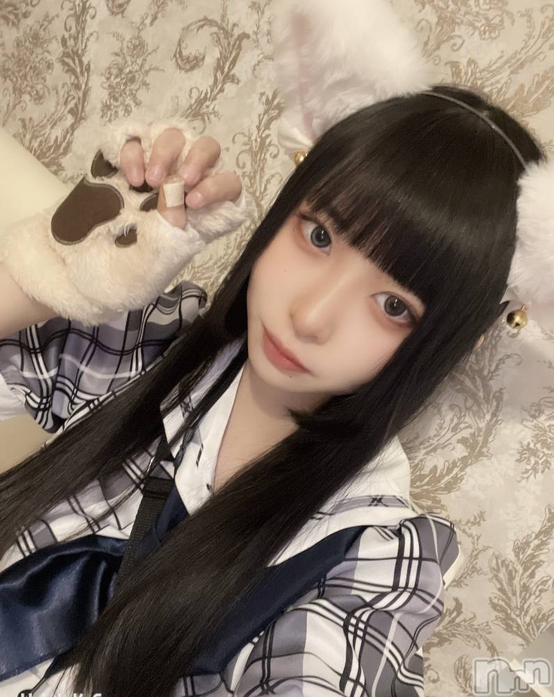 ʥå륺С󥻥ץȥե ˤޤ(󥻥ץȥե˥ޥ륭奦ǥ) 222̥֥ǭˤ㡪