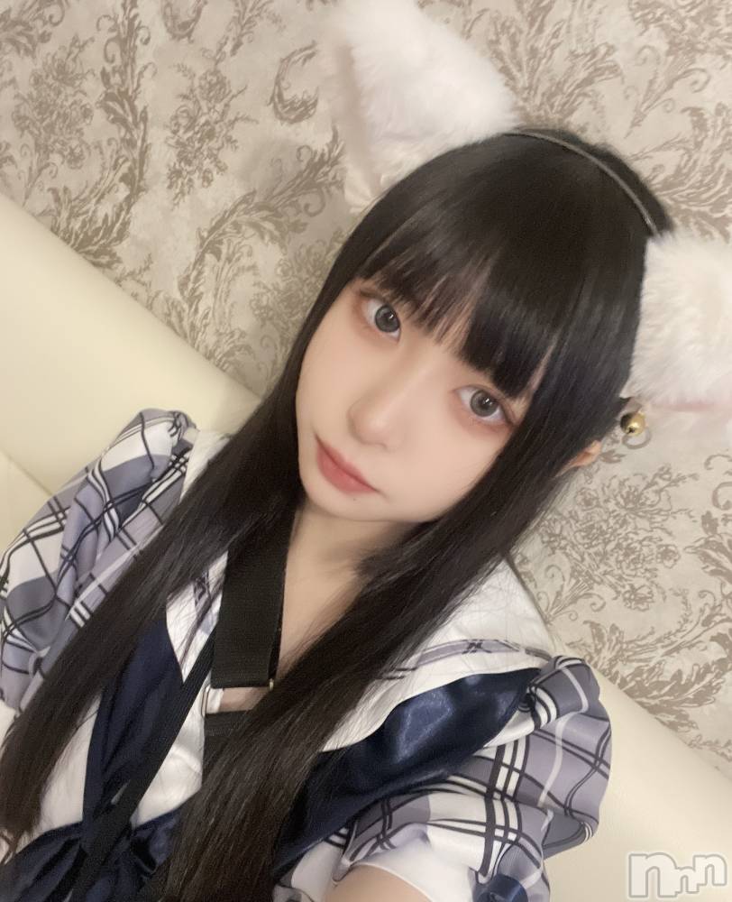 ʥå륺С󥻥ץȥե ˤޤ(󥻥ץȥե˥ޥ륭奦ǥ) 227ִ̥֥դʤΤˤ㡪