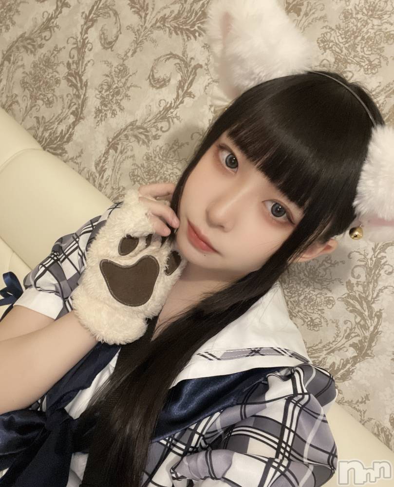 ʥå륺С󥻥ץȥե ˤޤ(󥻥ץȥե˥ޥ륭奦ǥ) 311̥֥褷ޤ