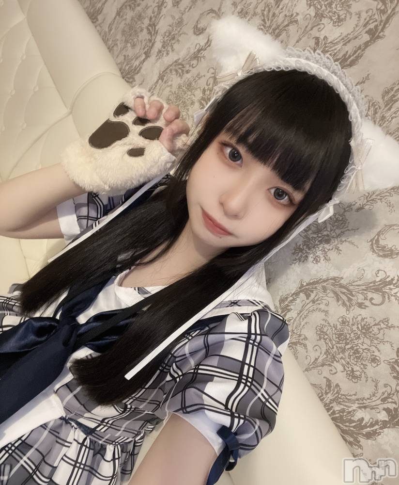 ʥå륺С󥻥ץȥե ˤޤ(󥻥ץȥե˥ޥ륭奦ǥ) 312̥֥繥Ǥ