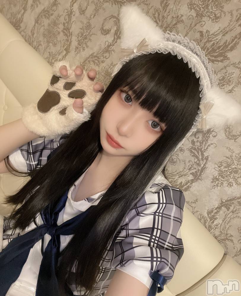 ʥå륺С󥻥ץȥե ˤޤ(󥻥ץȥե˥ޥ륭奦ǥ) 318̥֥֤̤̤ˤ