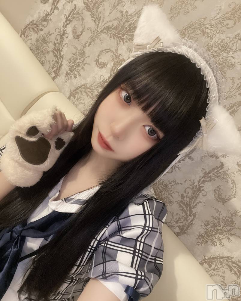 ʥå륺С󥻥ץȥե ˤޤ(󥻥ץȥե˥ޥ륭奦ǥ) 320̥֥֤ˤ󡪡