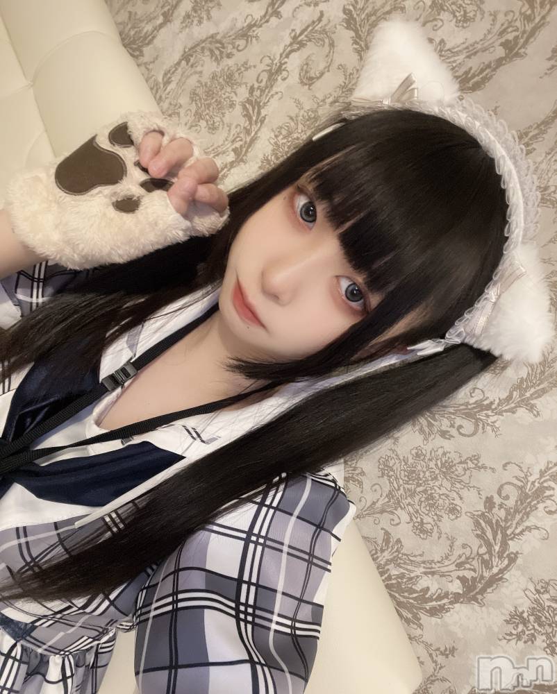 ʥå륺С󥻥ץȥե ˤޤ(󥻥ץȥե˥ޥ륭奦ǥ) 322̥֥֤ĤȰ㤦Τ狼뤫ˤ㡩