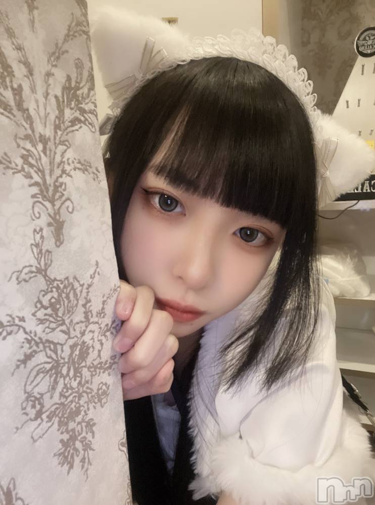 ʥå륺С󥻥ץȥե ˤޤ(󥻥ץȥե˥ޥ륭奦ǥ) 330̥֥|-)ġ