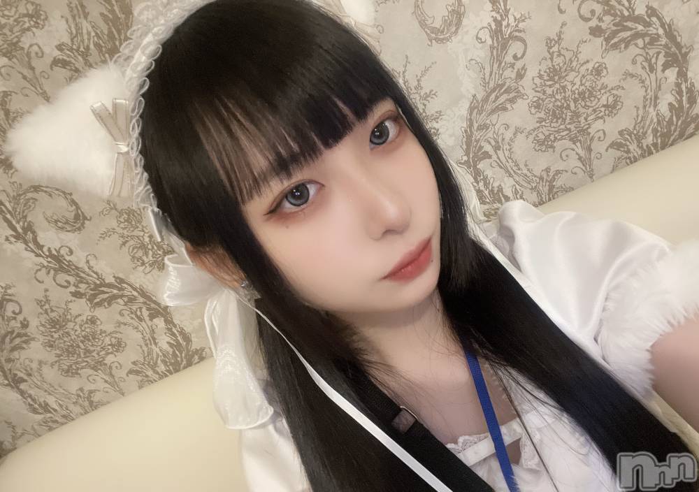 ʥå륺С󥻥ץȥե ˤޤ(󥻥ץȥե˥ޥ륭奦ǥ) 331̥֥֤꤬ȤޤǤ