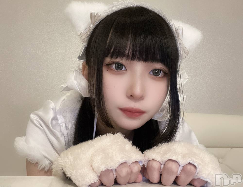 ʥå륺С󥻥ץȥե ˤޤ(󥻥ץȥե˥ޥ륭奦ǥ) 44̥֥̲Τˤ