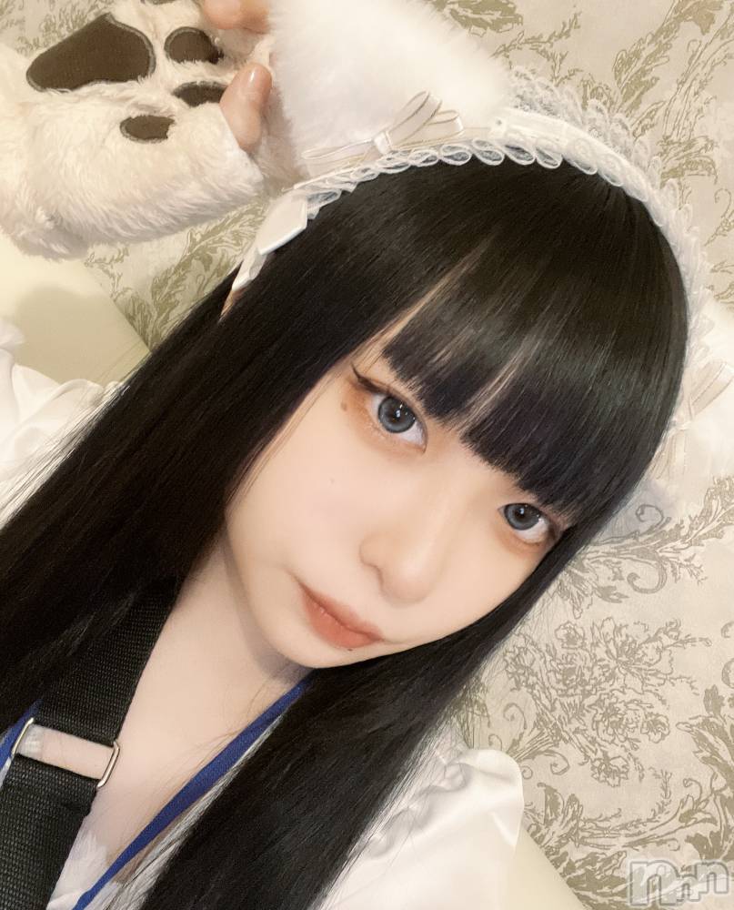ʥå륺С󥻥ץȥե ˤޤ(󥻥ץȥե˥ޥ륭奦ǥ) 46̥֥֤ͤϱǤ