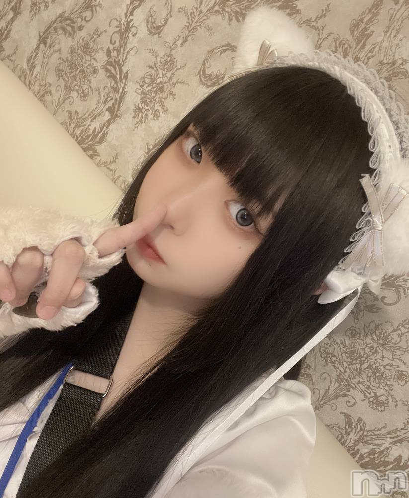 ʥå륺С󥻥ץȥե ˤޤ(󥻥ץȥե˥ޥ륭奦ǥ) 48̥֥(/`) ̡