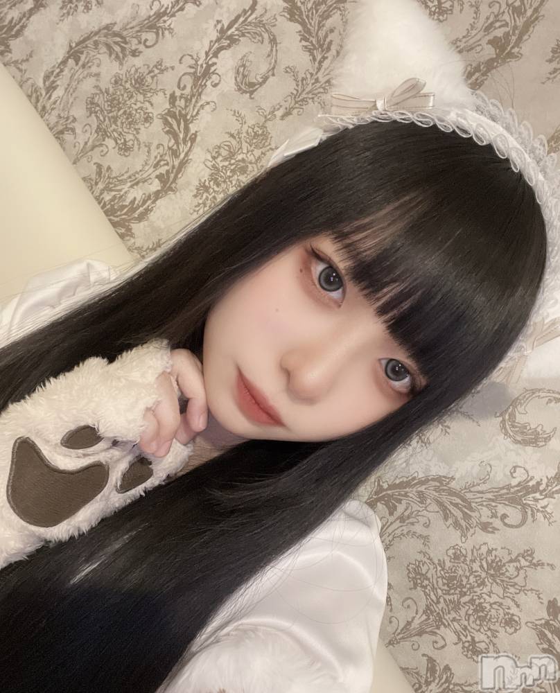 ʥå륺С󥻥ץȥե ˤޤ(󥻥ץȥե˥ޥ륭奦ǥ) 412̥֥ʤΤ...?
