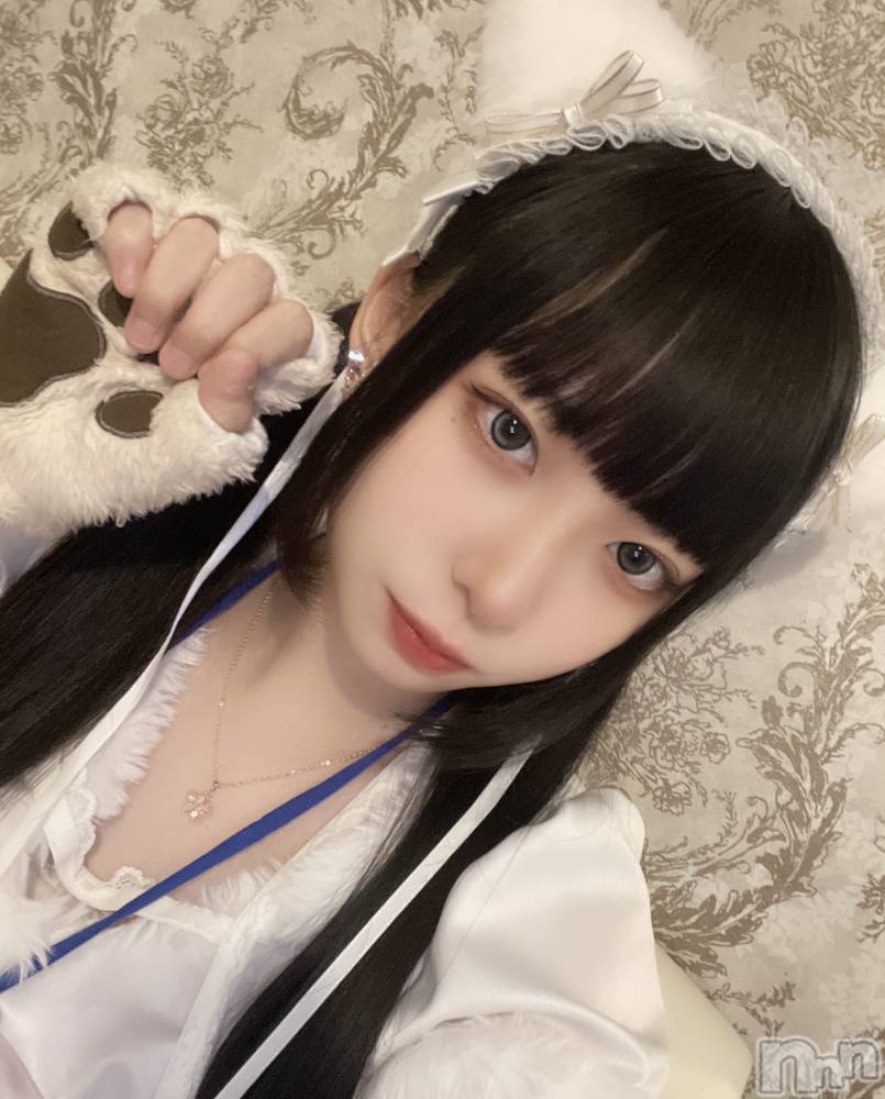 ʥå륺С󥻥ץȥե ˤޤ(󥻥ץȥե˥ޥ륭奦ǥ) 413ֺ̥֥ʤΡ