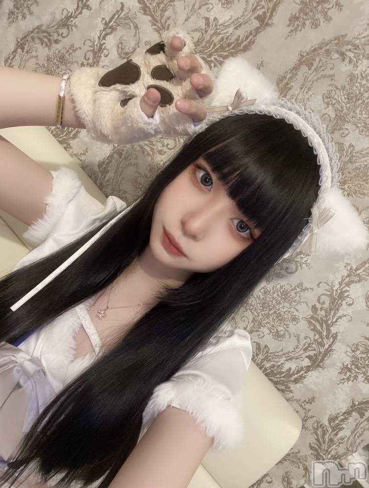 ʥå륺С󥻥ץȥե ˤޤ(󥻥ץȥե˥ޥ륭奦ǥ) 421̥֥ǤƤˤ㤤Ρ