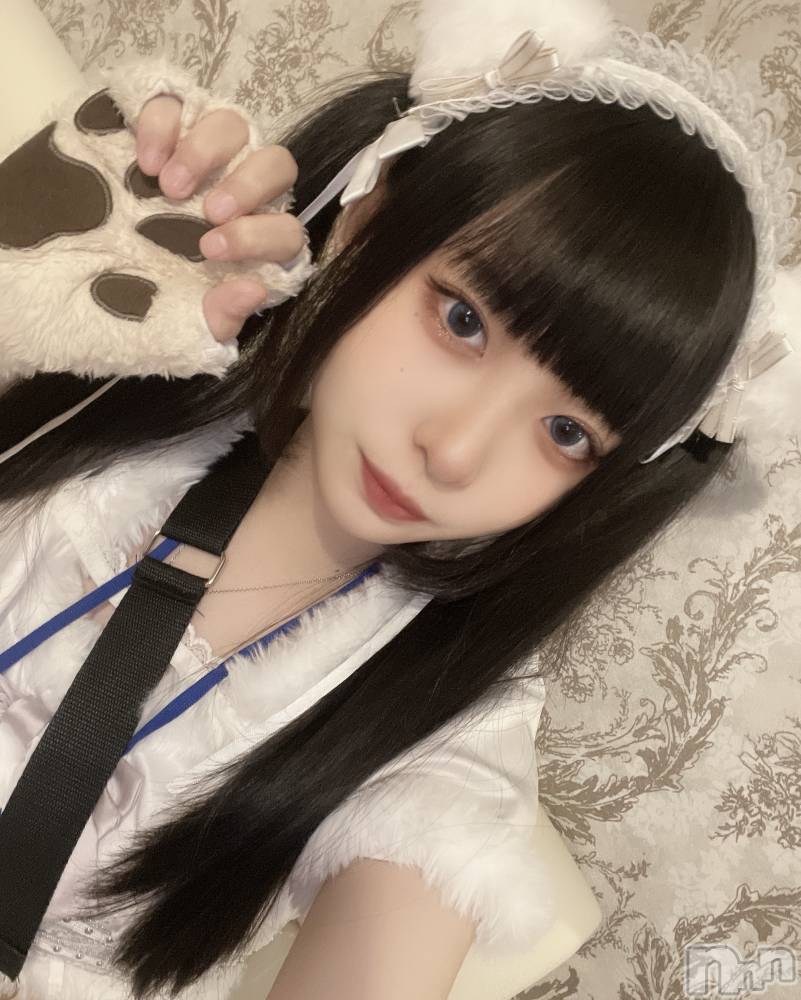 ʥå륺С󥻥ץȥե ˤޤ(󥻥ץȥե˥ޥ륭奦ǥ) 423̥֥̲ˤ(՞- -՞)ᐝ