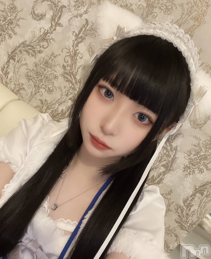 ʥå륺С󥻥ץȥե ˤޤ(󥻥ץȥե˥ޥ륭奦ǥ) 430̥֥֤ѲŤޤ