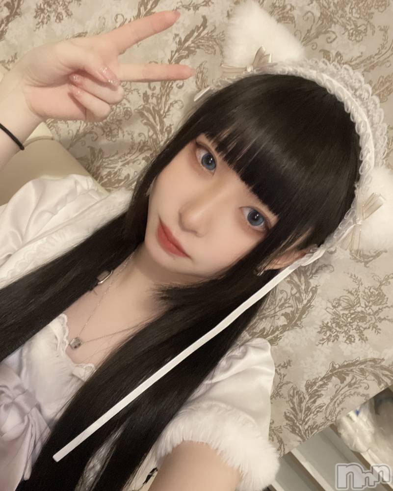 ʥå륺С󥻥ץȥե ˤޤ(󥻥ץȥե˥ޥ륭奦ǥ) 51̥֥֤ʤʤΡ