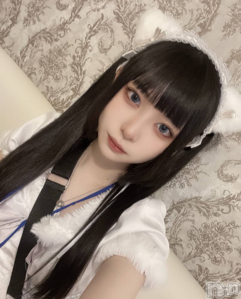 ʥå륺С󥻥ץȥե ˤޤ(󥻥ץȥե˥ޥ륭奦ǥ) 52̥֥֥ϡեĥʤΡ