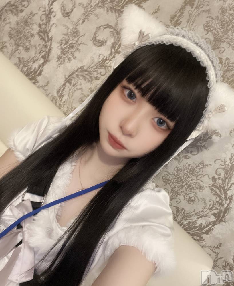 ʥå륺С󥻥ץȥե ˤޤ(󥻥ץȥե˥ޥ륭奦ǥ) 59̥֥(/`) ̡