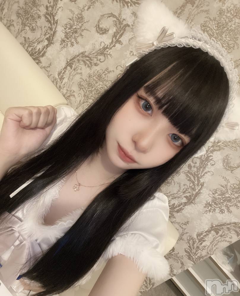 ʥå륺С󥻥ץȥե ˤޤ(󥻥ץȥե˥ޥ륭奦ǥ) 510̥֥֤̥Ϥä...