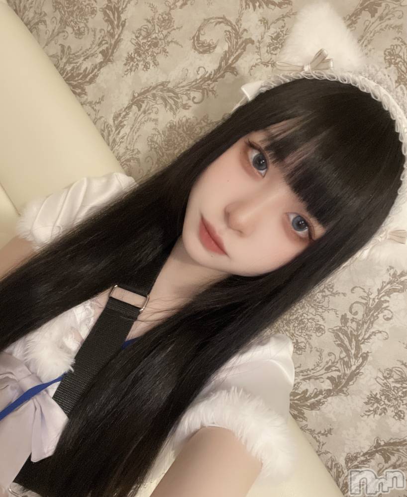 ʥå륺С󥻥ץȥե ˤޤ(󥻥ץȥե˥ޥ륭奦ǥ) 511̥֥̲ˤ