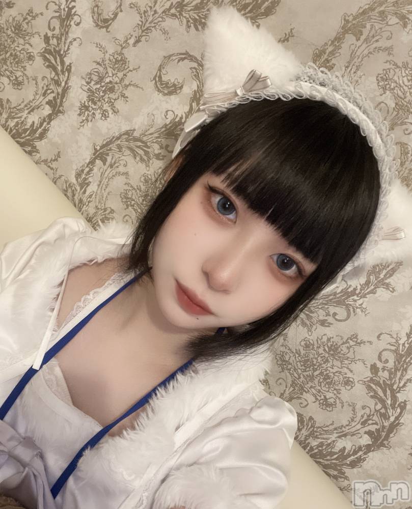 ʥå륺С󥻥ץȥե ˤޤ(󥻥ץȥե˥ޥ륭奦ǥ) 516̥֥֤ޤäޤΡ