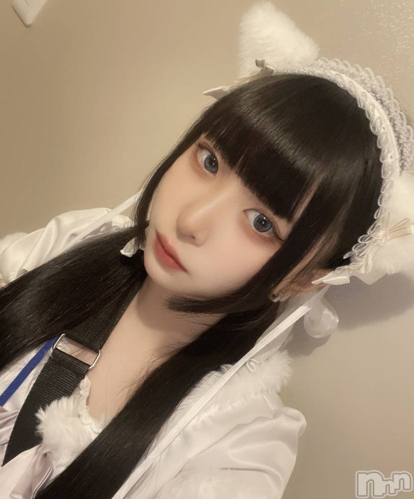 ʥå륺С󥻥ץȥե ˤޤ(󥻥ץȥե˥ޥ륭奦ǥ) 530̥֥֤ˤ㡼