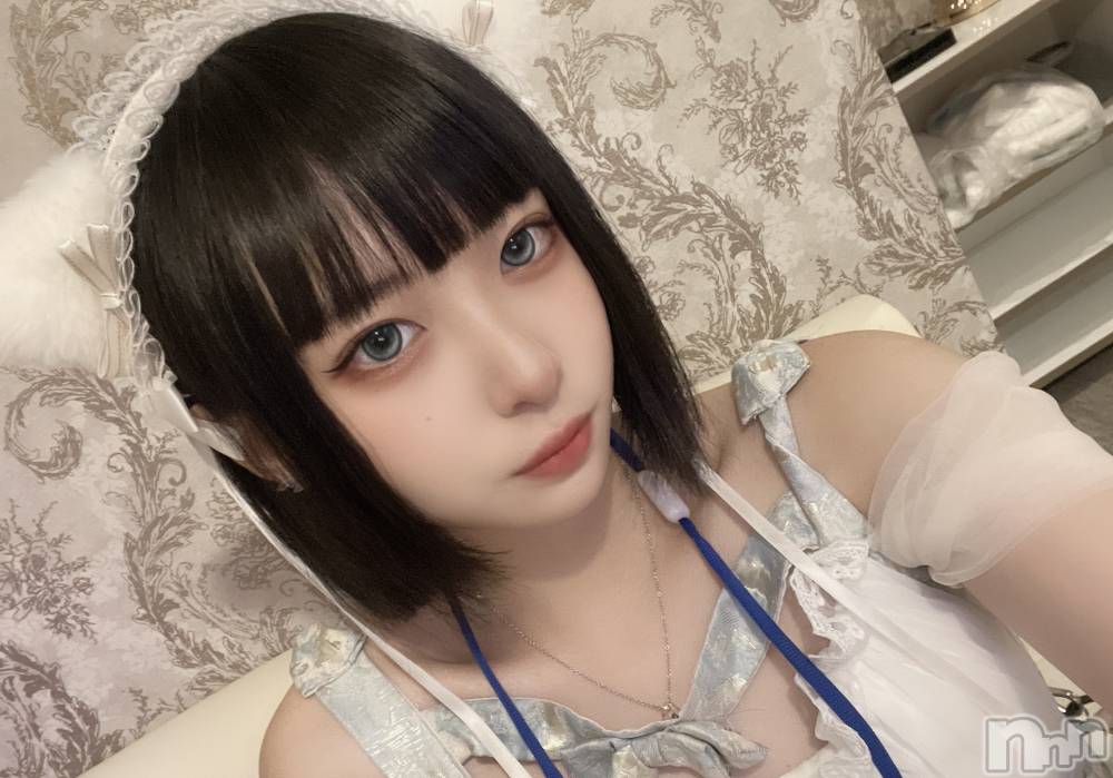 ʥå륺С󥻥ץȥե ˤޤ(󥻥ץȥե˥ޥ륭奦ǥ) 84̵̥֥ĥޤ