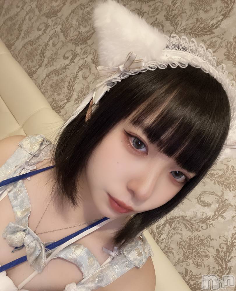 ʥå륺С󥻥ץȥե ˤޤ(󥻥ץȥե˥ޥ륭奦ǥ) 88̥֥֤ä...