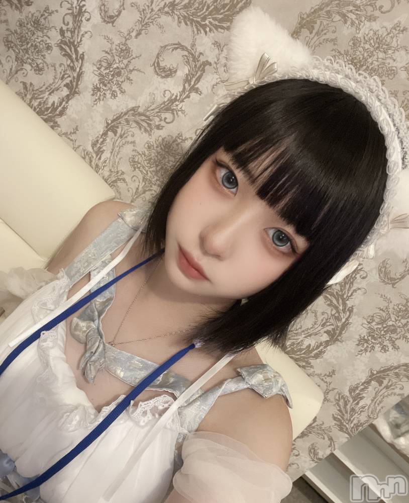 ʥå륺С󥻥ץȥե ˤޤ(󥻥ץȥե˥ޥ륭奦ǥ) 106̥֥֤ˤ
