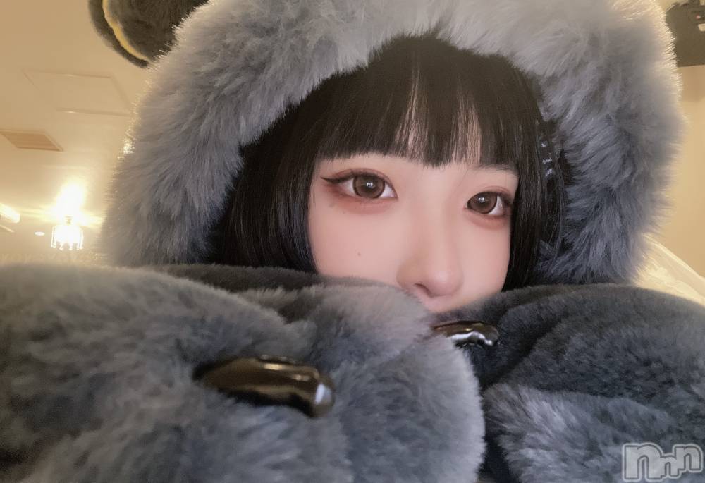 ʥå륺С󥻥ץȥե ˤޤ(󥻥ץȥե˥ޥ륭奦ǥ) 112̥֥👻ϥ󥤥٥Ⱥǽ🎃