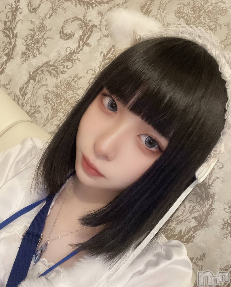 ʥå륺С󥻥ץȥե ˤޤ(󥻥ץȥե˥ޥ륭奦ǥ) 115̥֥֤ĤΤ🐈