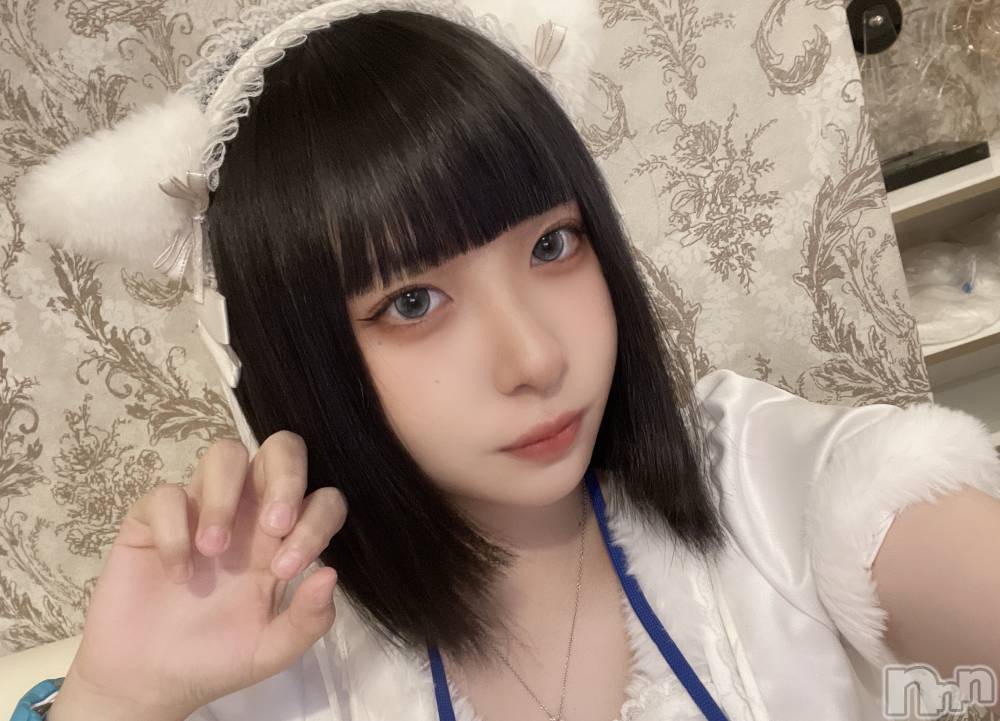 ʥå륺С󥻥ץȥե ˤޤ(󥻥ץȥե˥ޥ륭奦ǥ) 117̥֥äˤ🐱