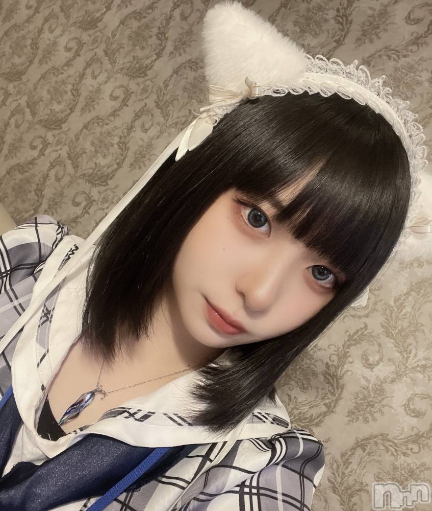 ʥå륺С󥻥ץȥե ˤޤ(󥻥ץȥե˥ޥ륭奦ǥ) 1122̥֥֤ʢΤˤ