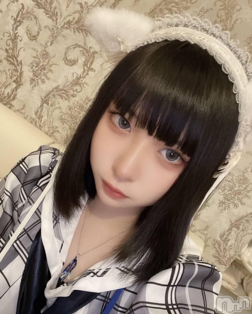 ʥå륺С󥻥ץȥե ˤޤ(󥻥ץȥե˥ޥ륭奦ǥ) 127̥֥֥ѥäΤˤ㡪