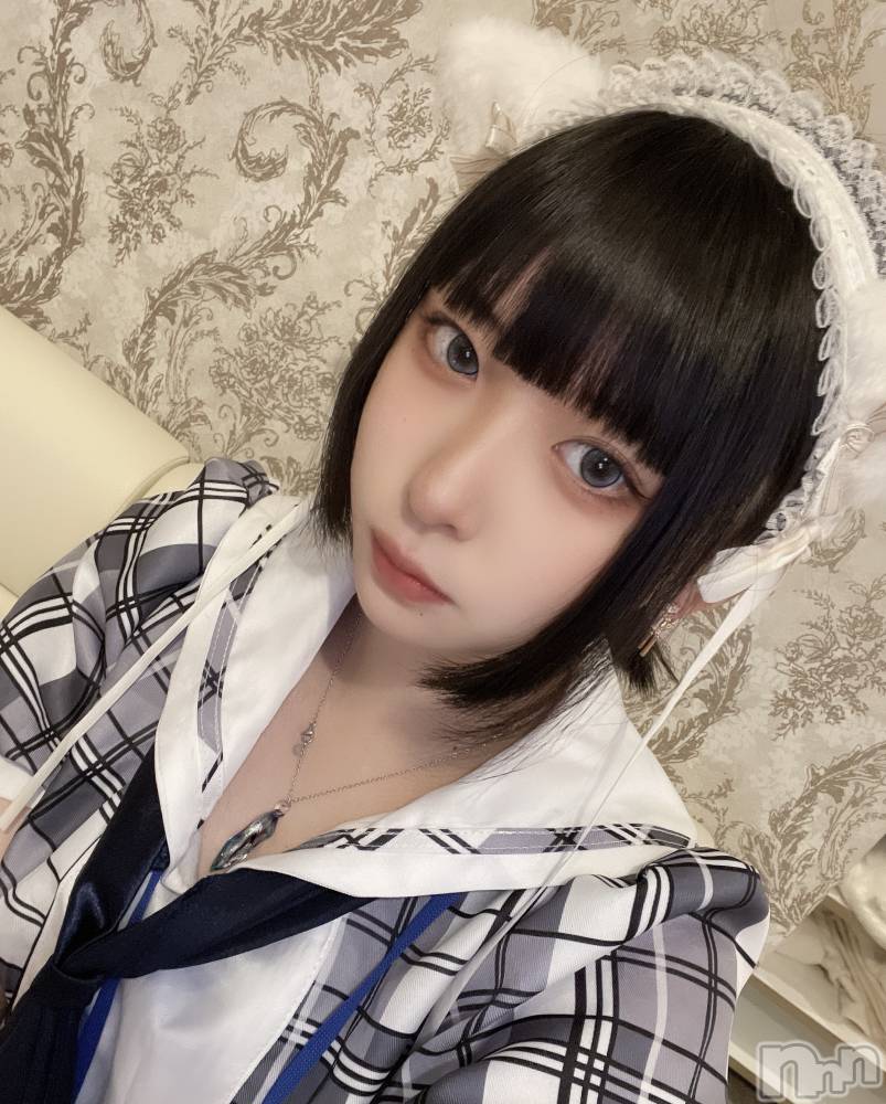 ʥå륺С󥻥ץȥե ˤޤ(󥻥ץȥե˥ޥ륭奦ǥ) 1210̥֥(߹꒳​߹ )