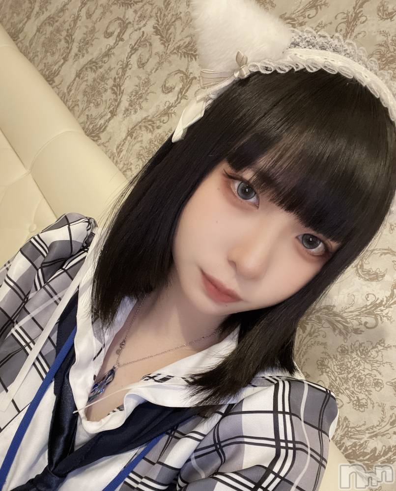 ʥå륺С󥻥ץȥե ˤޤ(󥻥ץȥե˥ޥ륭奦ǥ) 1213̥֥֥ĤǤ̤̤ˤ🐈