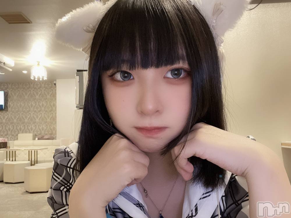 ����������ʥå��������륺�С����󥻥ץȥ��ե� ���ˤޤ����(���󥻥ץȥ��ե����˥ޥ륭�奦�ǥ�) ������12��14���̥�֥�����🐈´�ȤޤǻĤ�Ⱦʬ🐈‍⬛��