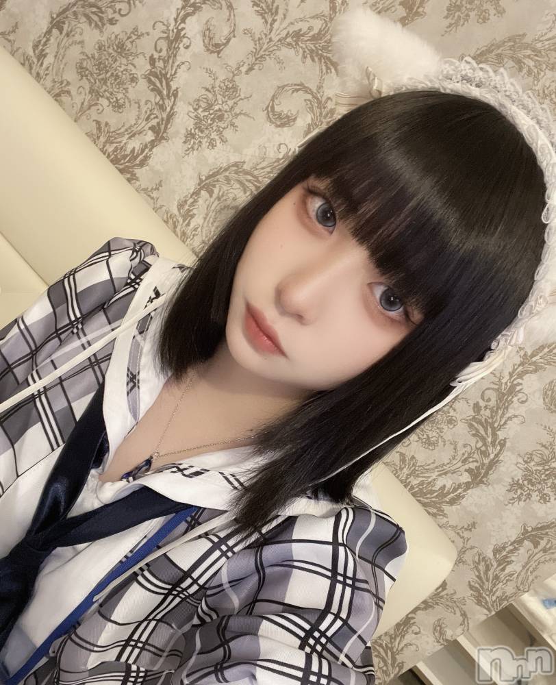 ����������ʥå��������륺�С����󥻥ץȥ��ե� ���ˤޤ����(���󥻥ץȥ��ե����˥ޥ륭�奦�ǥ�) ������12��19���̥�֥����ֵ��ˤ��🐈‍⬛��