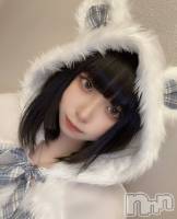 ����������ʥå��������륺�С����󥻥ץȥ��ե� ���ˤޤ����(���󥻥ץȥ��ե����˥ޥ륭�奦�ǥ�) ����(20)��12��24���̥�֥����֥��ꥹ�ޥ����٥��1����🎄��