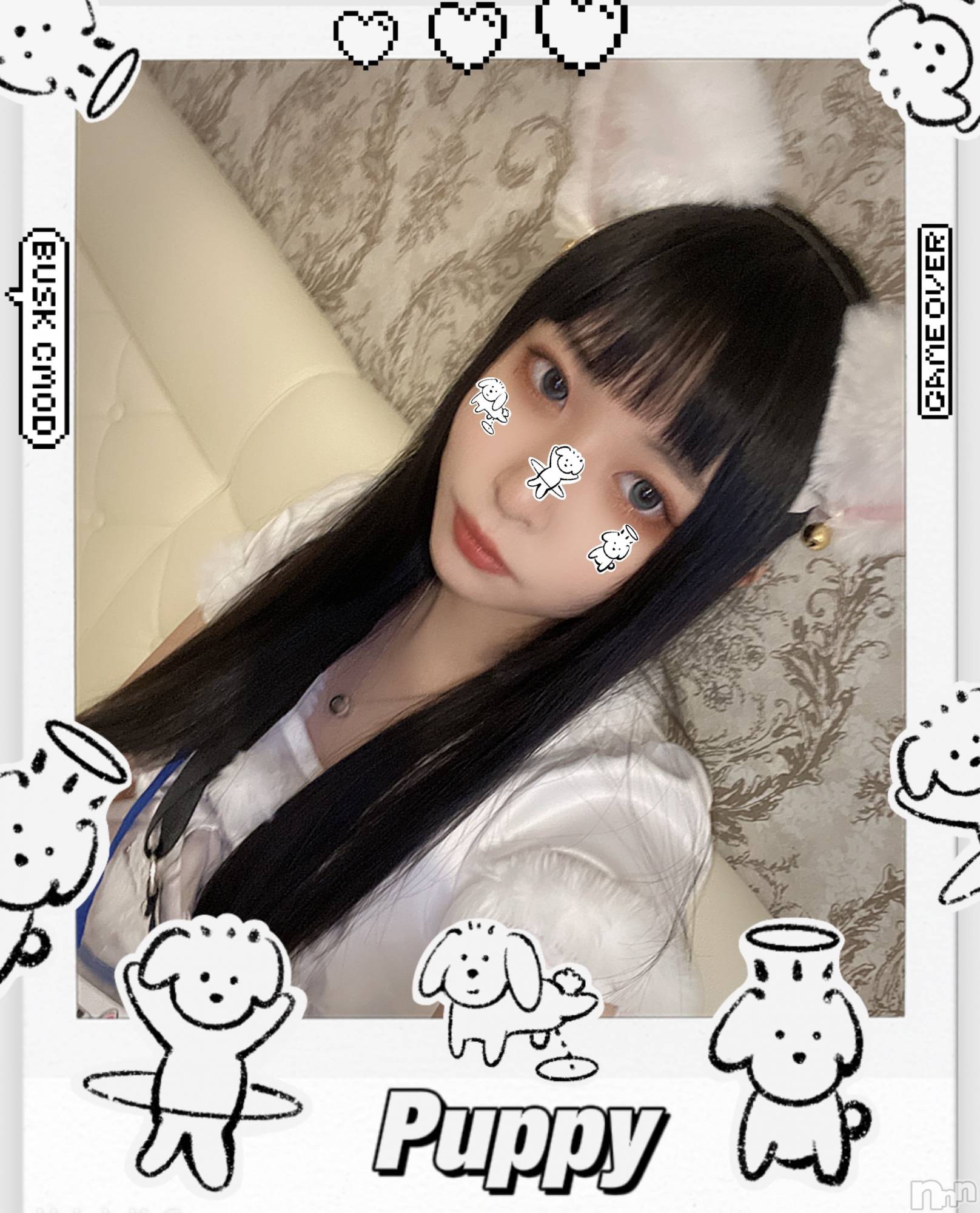 ʥå륺С󥻥ץȥե ˤޤ(󥻥ץȥե˥ޥ륭奦ǥ) 2025ǯ16̥֥֤ˤ㡼
