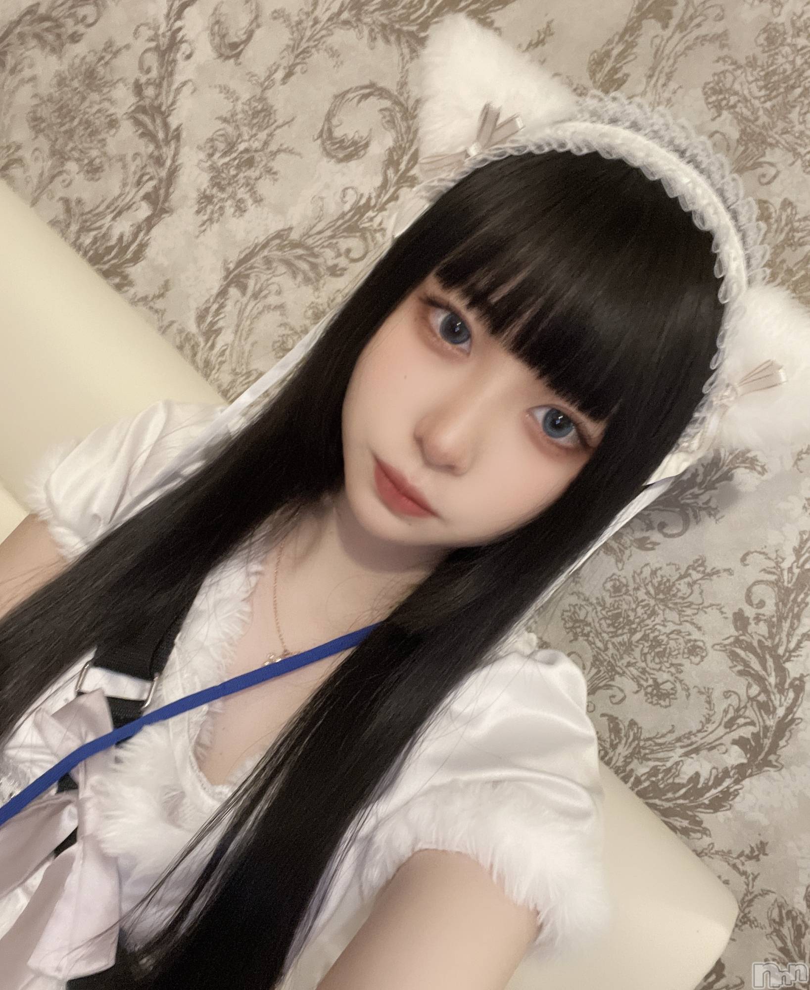 ʥå륺С󥻥ץȥե ˤޤ(󥻥ץȥե˥ޥ륭奦ǥ) 2025ǯ59̥֥(/`) ̡