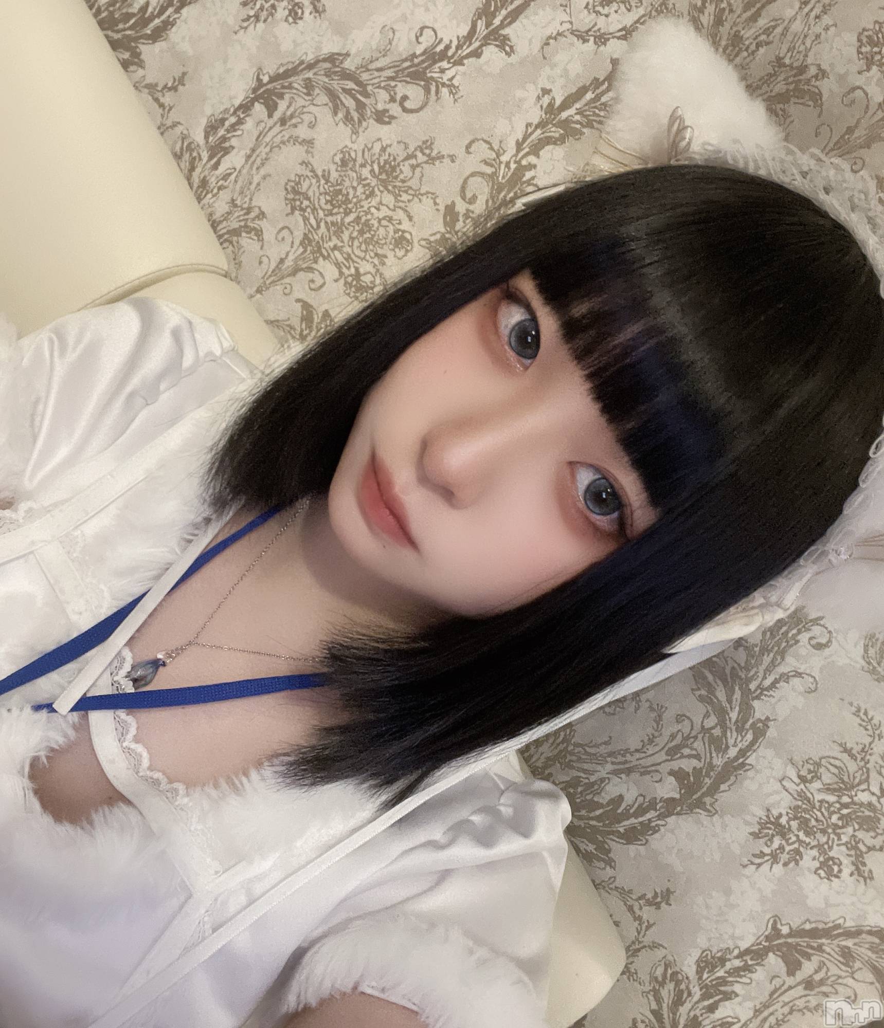 ʥå륺С󥻥ץȥե ˤޤ(󥻥ץȥե˥ޥ륭奦ǥ) 2025ǯ118ִ̥֥򤷤ʤΤˤ㡪