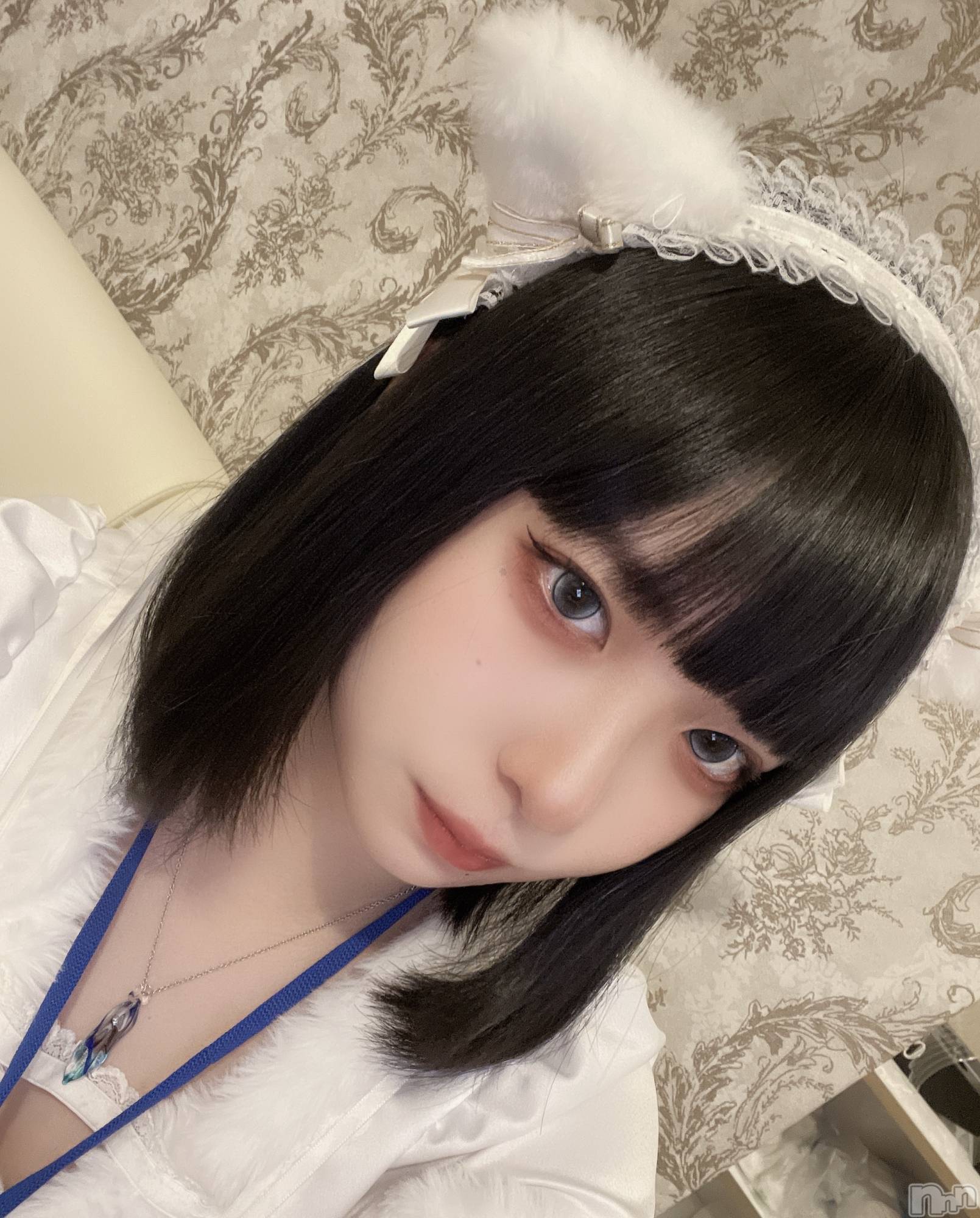 ʥå륺С󥻥ץȥե ˤޤ(󥻥ץȥե˥ޥ륭奦ǥ) 2025ǯ1114̥֥ĥǭǤ🐱