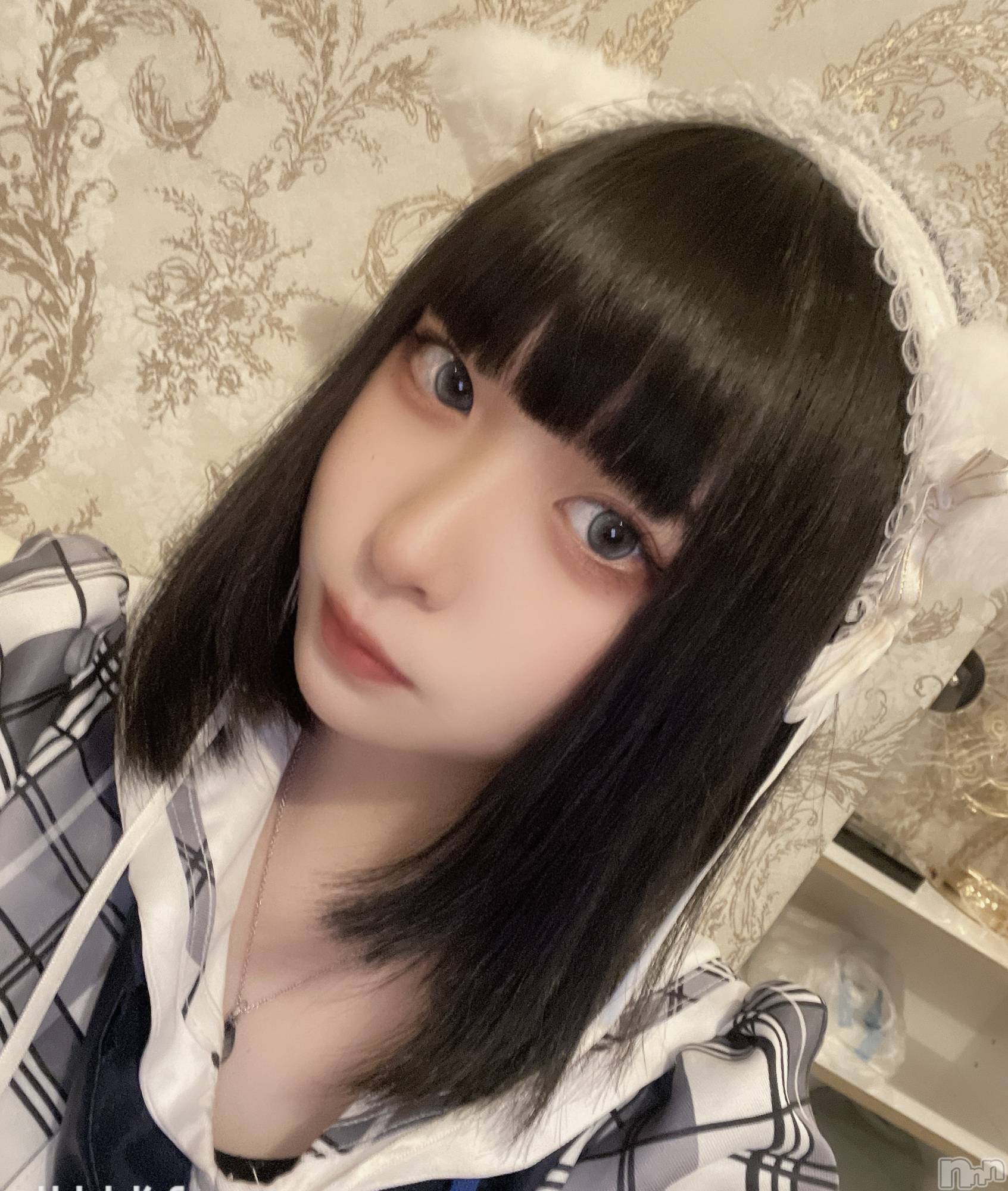 ʥå륺С󥻥ץȥե ˤޤ(󥻥ץȥե˥ޥ륭奦ǥ) 2025ǯ1123̥֥֤äΤäƤ