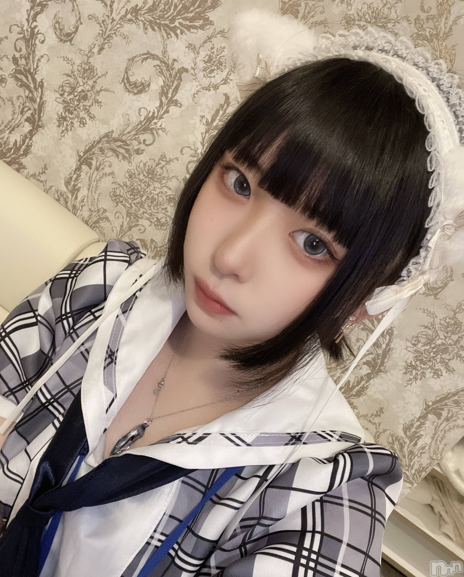 ʥå륺С󥻥ץȥե ˤޤ(󥻥ץȥե˥ޥ륭奦ǥ) 2025ǯ1210̥֥(߹꒳​߹ )