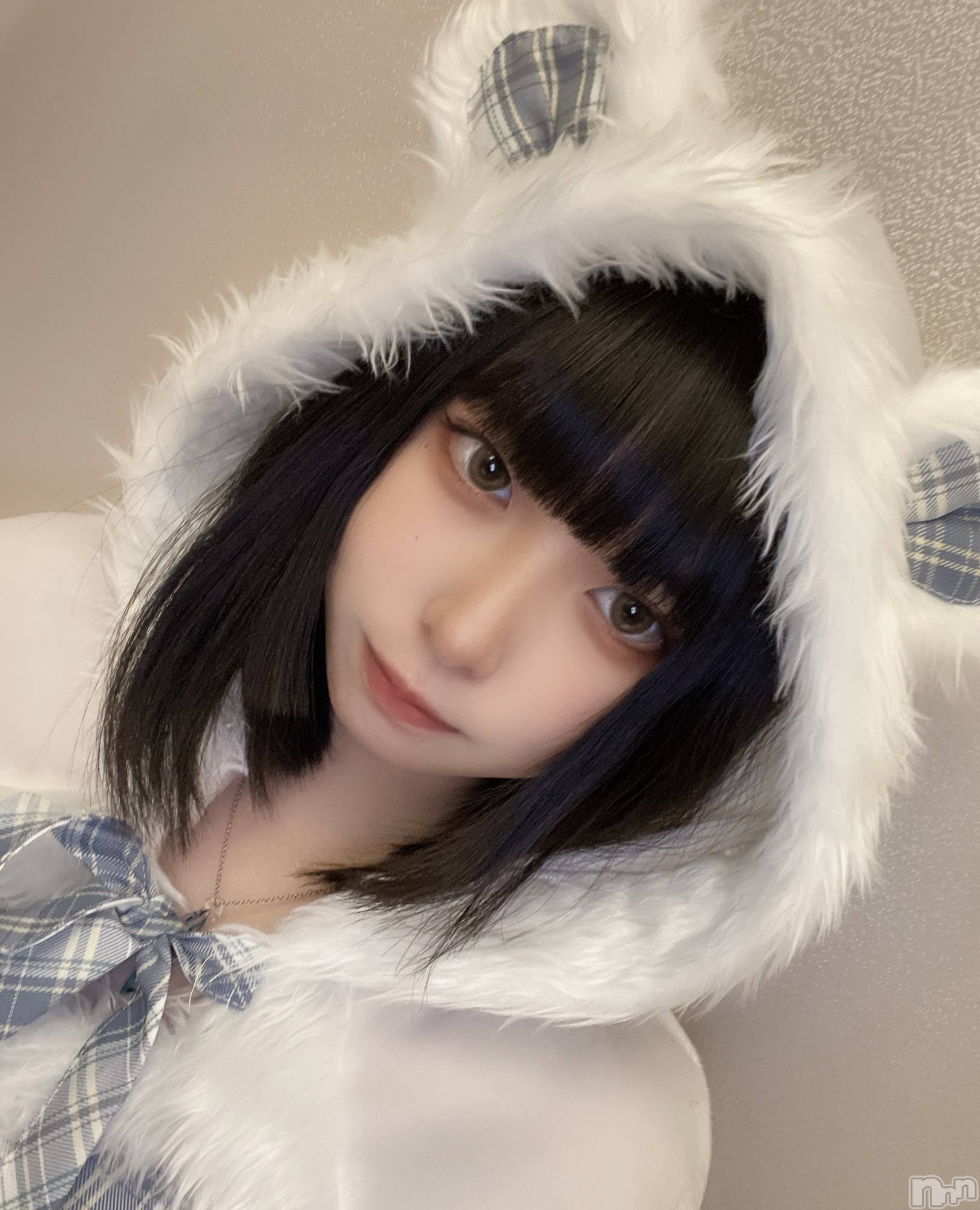 ����������ʥå��������륺�С����󥻥ץȥ��ե� ���ˤޤ����(���󥻥ץȥ��ե����˥ޥ륭�奦�ǥ�) ��2025ǯ12��24���̥�֥����֥��ꥹ�ޥ����٥��1����🎄��