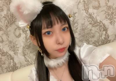 ʥå륺С󥻥ץȥե ˤޤ(󥻥ץȥե˥ޥ륭奦ǥ) (19)112ְ̥֥ˤΤӤꤷޤ󤫡
