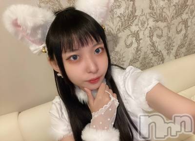 ʥå륺С󥻥ץȥե ˤޤ(󥻥ץȥե˥ޥ륭奦ǥ) (19)113̥֥֤ʤ...