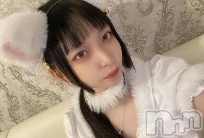 ʥå륺С󥻥ץȥե ˤޤ(󥻥ץȥե˥ޥ륭奦ǥ) (19)117̥֥֤ޤ󤫡