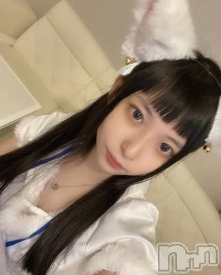ʥå륺С󥻥ץȥե ˤޤ(󥻥ץȥե˥ޥ륭奦ǥ) (19)1219ִ̥֥ˤ